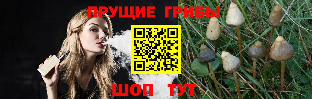 Среднеуральск  Галлюциногенные грибы GOLDEN TEACHER  Вход с VPN 